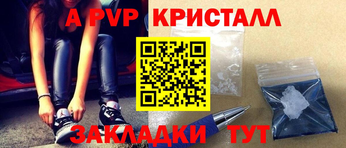 A-PVP СК КРИС Новоалтайск