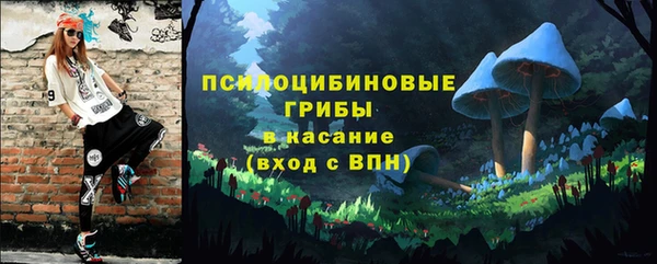 шишки Алексеевка