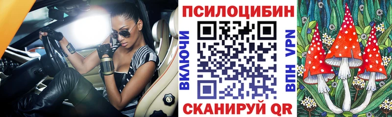 Галлюциногенные грибы Psilocybe  купить  сайты  hydra   Новоалтайск 
