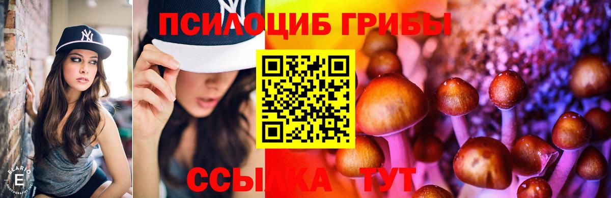 Галлюциногенные грибы ЛСД Новоалтайск